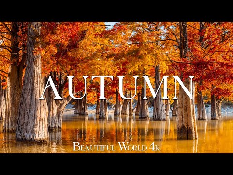 Autumn Melodies 4K • Scenic Relaxation Film 4k • Peaceful Relaxing Music and Nature Video • 4K UHD