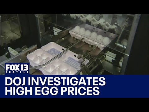 DOJ investigating high egg prices | FOX 13 Seattle