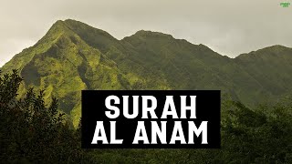 SURAH AL AN'AM (FULL SURAH) - HEART SOOTHING RECITATION