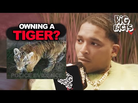 Trap Boy Freddy Was Arrested For Pet Tiger?