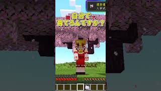 視聴者さんが面白い進捗考えてくれた６６ #マイクラ #ゆっくり実況 #マインクラフト