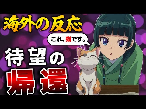 【海外の反応】薬屋のひとりごと2期放送開始！壬氏の猫吸いに海外紳士たちも爆笑してしまう