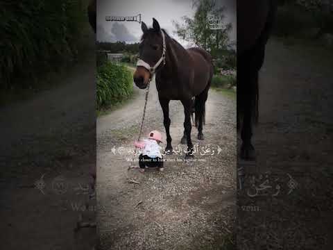 Beautiful cute girl and quran recitation #quranrecitation #beatifulvoice #explore #world