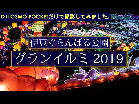 DJI OSMO POCKET撮影  2019年グランイルミ 伊豆ぐらんぱる公園