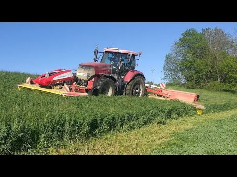 Sečení jetele 2024 | Case IH | HZS Jevíčko