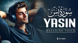 Surah Yaseen (Yasin) سورة يس  | Relaxing Heart Melting Voice | Surah Yasin Lofi Quran