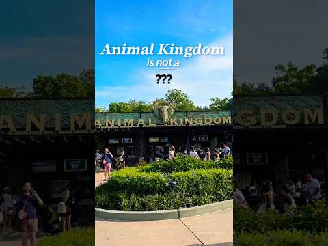 Disney World’s Least Popular Park 👀🌳 #animalkingdom