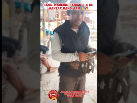 HASIL MANCING HARIAN 50 RIBU, BANG AAN DAPAT 5,4 KG DI PEMANCINGAN EMA