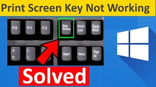 How to solve Print Screen Not Working in Windows 10/11