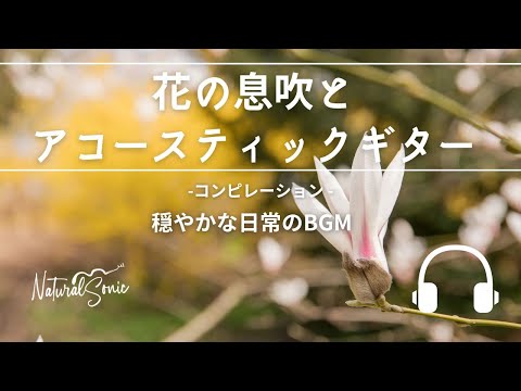 Natural Sonic「花の息吹とアコースティックギター」コンピレーション - 穏やかな日常のBGM -