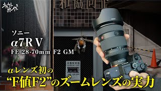 【ソニー FE 28-70mm F2 GM｜α7R Ⅴ】ソニー初の開放F値F2の標準ズームレンズでスナップしてみた