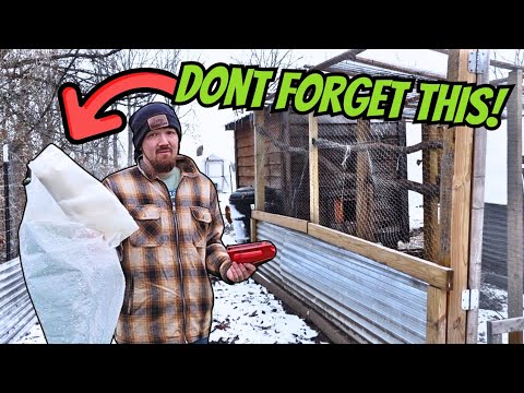 Extreme Winter Prep On A Small Farm