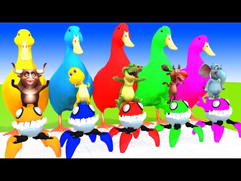 5 Giant Duck Cartoon,Cow,Mammoth,Elephant,Lion,Tiger Paint Wild Animals Crossing Fountain Animation