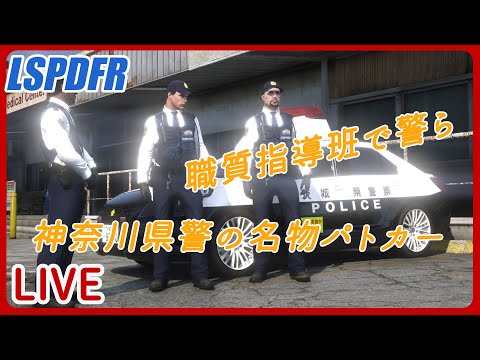 GTA5 - LSPDFR LIVE - Ep.81