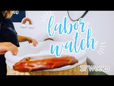 LABOR WATCH! 37 Weeks