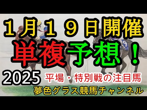 【単複平場予想】2025年1月19日JRA平場戦！若潮ステークスなど妙味ある馬を狙っていくコーナー！平場・特別戦を楽しむ8頭！