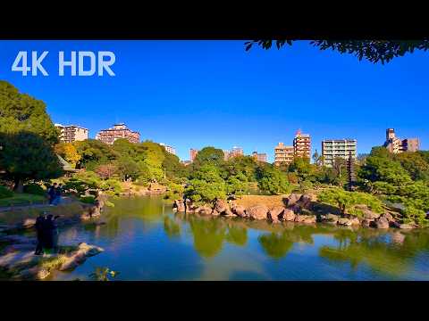 Autumn Colors Walking Tour in Kiyosumi Gardens Tokyo | Japan | Google Maps and subtitles