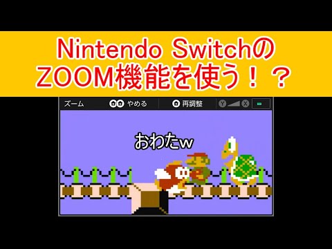 一寸先は闇マリオ#14 Nintendo SwitchのZOOM機能を使う！？ ZOOM MARIO