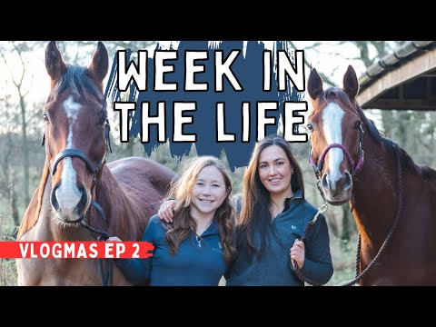 EQUESTRIAN WEEK IN THE LIFE: Vlogmas Ep 2