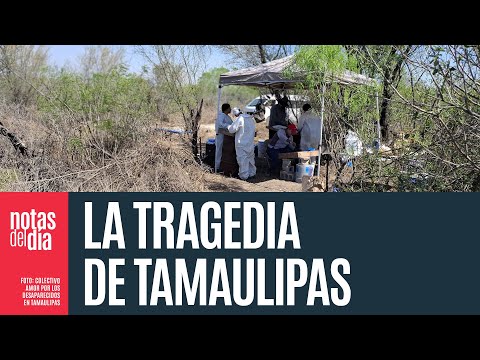 Colectivo halla fosas con restos humanos en Reynosa; teme que sea sitio de exterminio