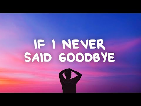 Jamie Grey - If I Never Said Goodbye (Lyrics)