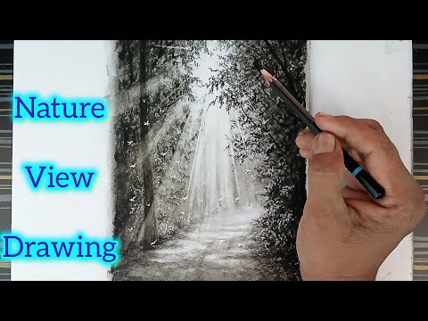 How to draw nature view sunlight landscape by pencil with easy ways.