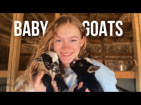 Happiness and Heartache on the Farm | Small Farm Kidding Season