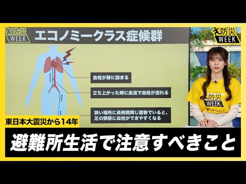 【避難生活】避難所での生活で注意すべきこと／＃東日本大震災から14年 #防災WEEK