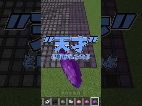 【マイクラ】登録者66万人の○○様から来たコメントを作ってみた！