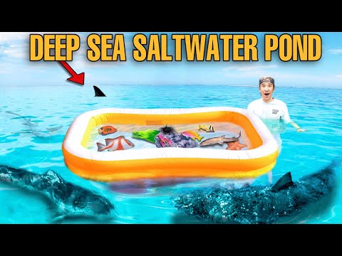 Building a SALTWATER POND in the MIDDLE OF THE OCEAN Full of EXOTIC SEA CREATURES!