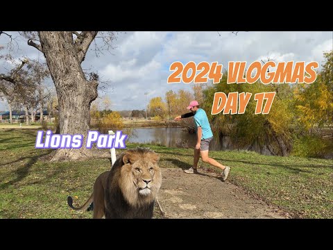 2024 Vlogmas Day 17 | Lions Park