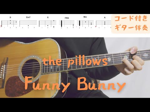 【ギターコード付き】the pillows/Funny Bunny【アコギ弾いてみた】