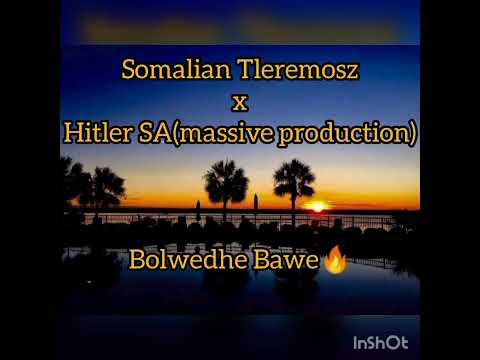 Bolwedhe Bawe hitt (Somalian Tleremosz x Hitler SA)