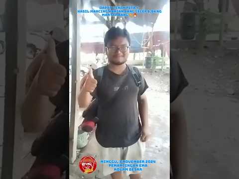 BANG CECEP PULANG BAWA IKAN 5 KG | MANCING HARIAN | PEMANCINGAN EMA