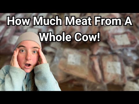 What AMAZING Amount Of Meat Comes From ONE Cow?