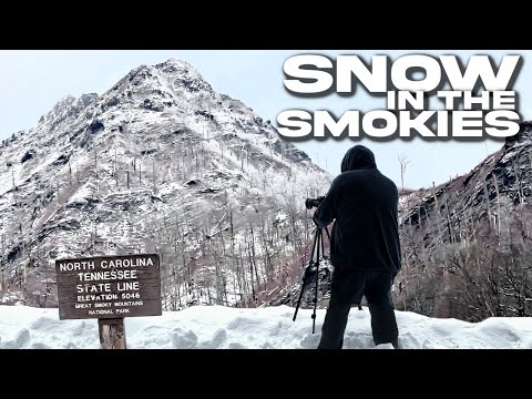 SNOW IN THE SMOKIES Newfound Gap Rd Reopened After High Elevation Snow Storm