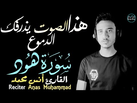 سورة هود أنس محمد | تلاوة فريدة من نوعها بصوت يذرفك الدموع😭Surah Hud