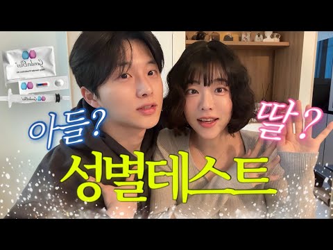 [임신기록 #8] 아기성별테스트!!! feat.맞추는사람 치킨쏨