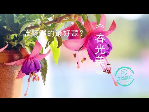 【無廣告版】翻唱老歌《春光美》-同一首歌，誰唱的最好聽系列？（亦然音樂013）