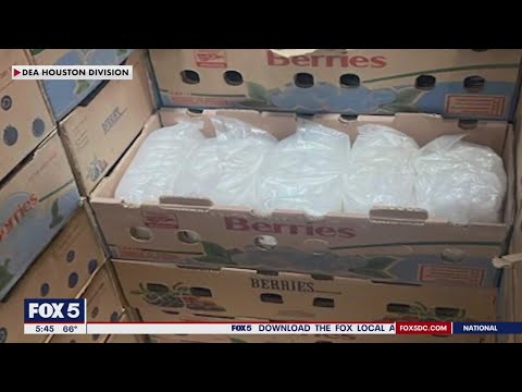 DEA makes major drug bust near Texas border