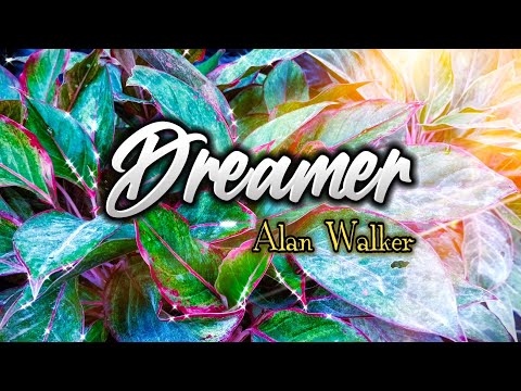 DREAMER - ALAN WALKER