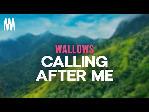 Wallows - Calling After Me (Letra/Lyrics)