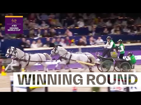 Bram blazes to glory in Mechelen! 🔥 | FEI Driving World Cup™ Mechelen