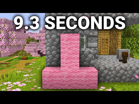 Minecraft Pink Upside Down T Speedrun WORLD RECORD