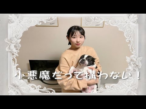 【Junior high school youtuber】Koakuma Datte Kamawanai! by Shio danced ☆