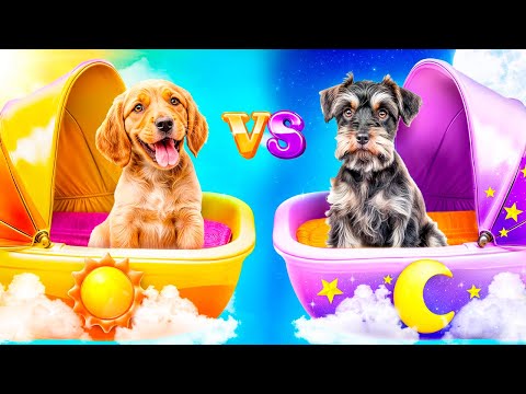 Good Dog vs Bad Dog! Life of Different Pets