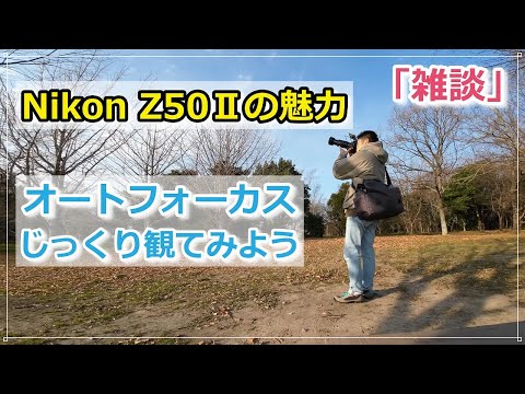 「雑談」Nikon Z50Ⅱ のAFってこんな感じ