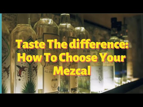 An Introduction To The Different Agave Varieties of Mezcal