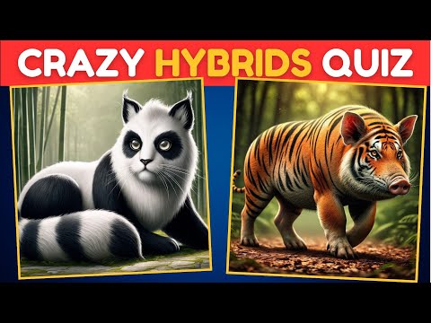 The CRAZIEST Animal Mashup Quiz! Can You Guess Them All? 🦁🦄  Quiz Bug