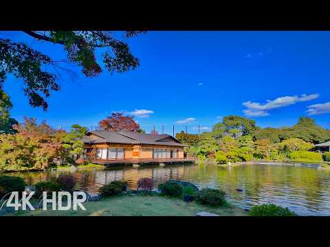 Edogawa City Walk | Unusual vending machine, Japanese style garden, Small public zoo | Tokyo, Japan